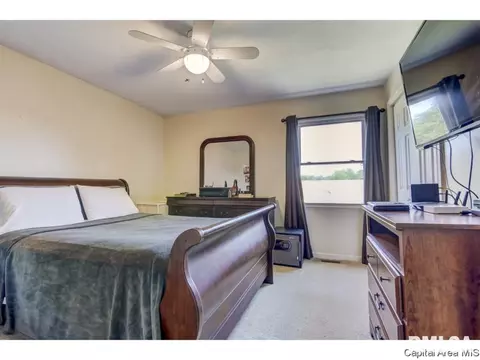 1601 Brenda Ct, Springfield, IL 62702 photo 19