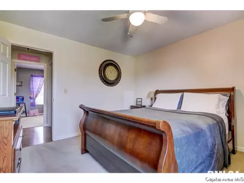 1601 Brenda Ct, Springfield, IL 62702 photo 18