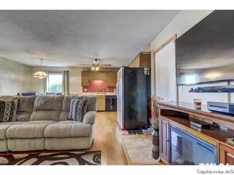 1601 Brenda Ct, Springfield, IL 62702 photo 8