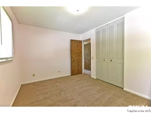 244 Stutely Ln, Springfield, IL 62704 photo 19