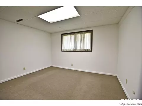 244 Stutely Ln, Springfield, IL 62704 photo 22