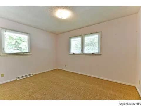244 Stutely Ln, Springfield, IL 62704 photo 17