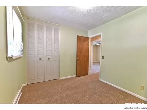 244 Stutely Ln, Springfield, IL 62704 photo 15