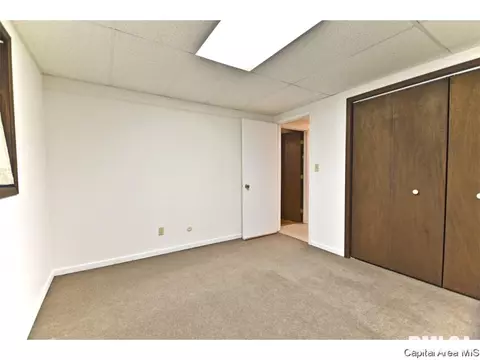 244 Stutely Ln, Springfield, IL 62704 photo 23