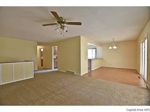244 Stutely Ln, Springfield, IL 62704 photo 5