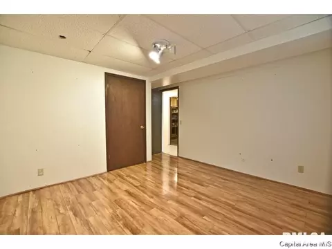 244 Stutely Ln, Springfield, IL 62704 photo 20