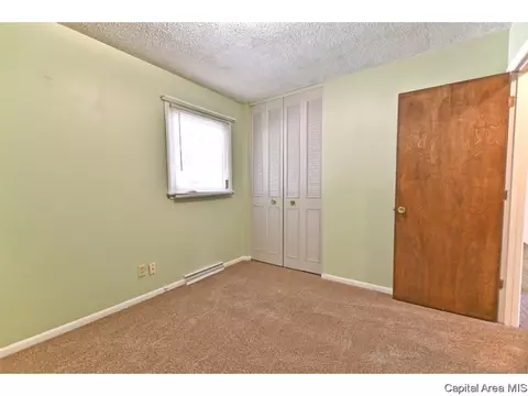 244 Stutely Ln, Springfield, IL 62704 photo 16