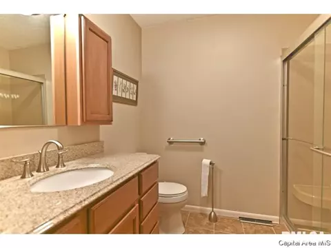 244 Stutely Ln, Springfield, IL 62704 photo 30