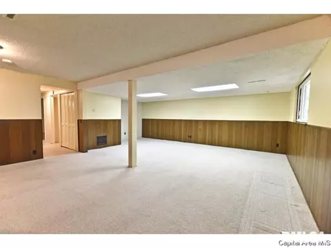 244 Stutely Ln, Springfield, IL 62704 photo 28