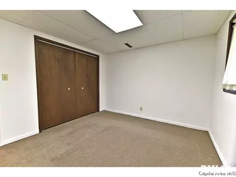 244 Stutely Ln, Springfield, IL 62704 photo 24
