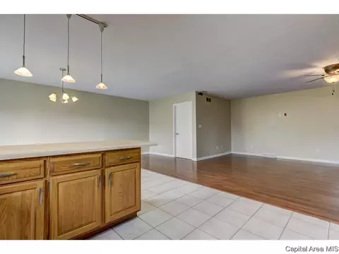 209 Appomattox Dr, Springfield, IL 62711 photo 13