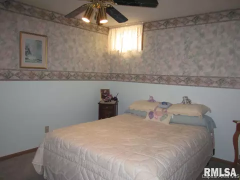 119 E Hawkeye Way, Springfield, IL 62707 photo 18