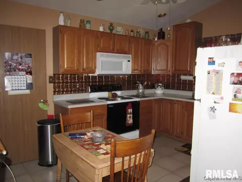 119 E Hawkeye Way, Springfield, IL 62707 photo 6