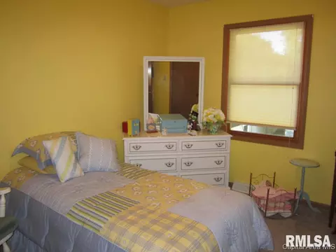 119 E Hawkeye Way, Springfield, IL 62707 photo 11