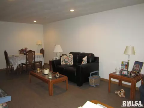119 E Hawkeye Way, Springfield, IL 62707 photo 16