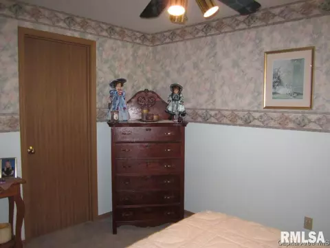 119 E Hawkeye Way, Springfield, IL 62707 photo 19