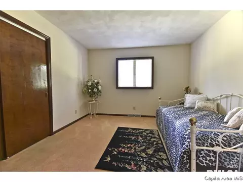 20 Pickering Ln, Springfield, IL 62712 photo 18