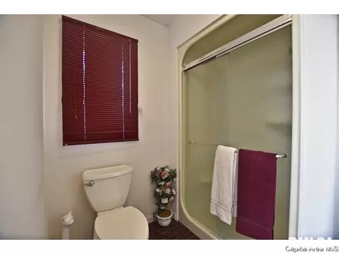 20 Pickering Ln, Springfield, IL 62712 photo 12