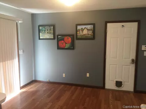 122 E Hawkeye Way, Springfield, IL 62707 photo 6