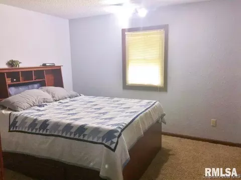 122 E Hawkeye Way, Springfield, IL 62707 photo 13