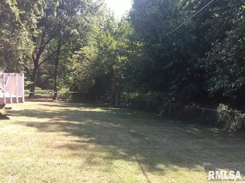122 E Hawkeye Way, Springfield, IL 62707 photo 20