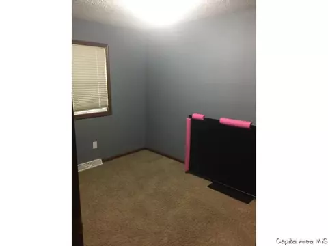 122 E Hawkeye Way, Springfield, IL 62707 photo 10