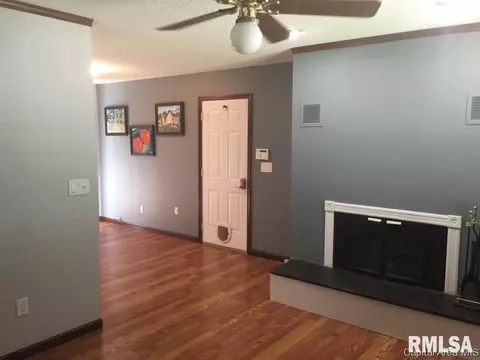 122 E Hawkeye Way, Springfield, IL 62707 photo 4