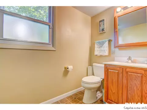 824 Roanoke Dr, Springfield, IL 62702 photo 30