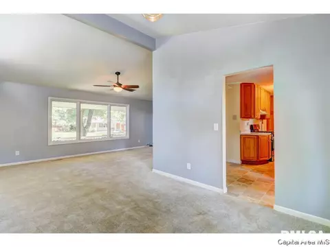 824 Roanoke Dr, Springfield, IL 62702 photo 14