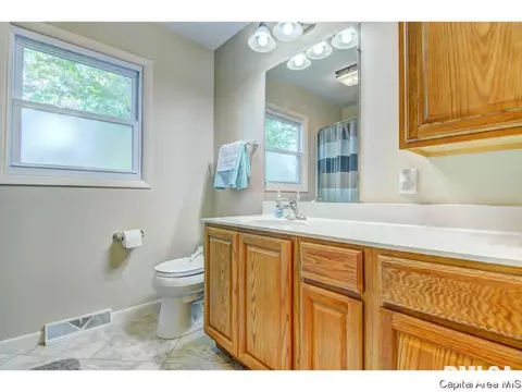 824 Roanoke Dr, Springfield, IL 62702 photo 28
