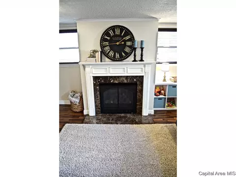 2005 Creighton Rd, Springfield, IL 62703 photo 26