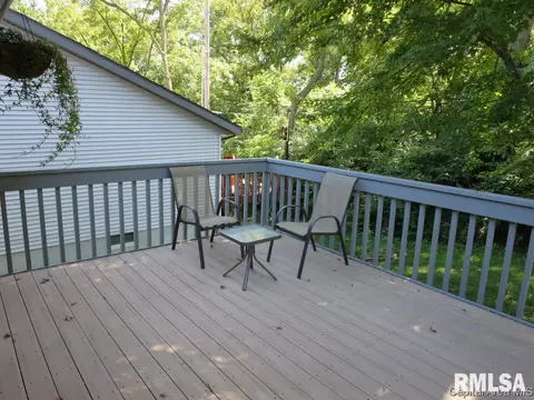1412 Guemes Ct, Springfield, IL 62702 photo 19