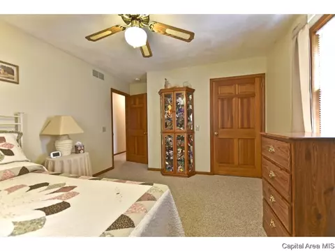 15 Hickory Ridge Ln, Springfield, IL 62707 photo 21