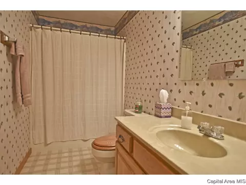 15 Hickory Ridge Ln, Springfield, IL 62707 photo 23