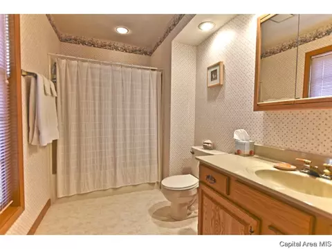 15 Hickory Ridge Ln, Springfield, IL 62707 photo 10