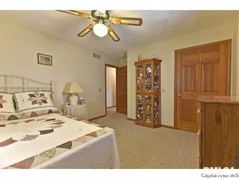 15 Hickory Ridge Ln, Springfield, IL 62707 photo 22