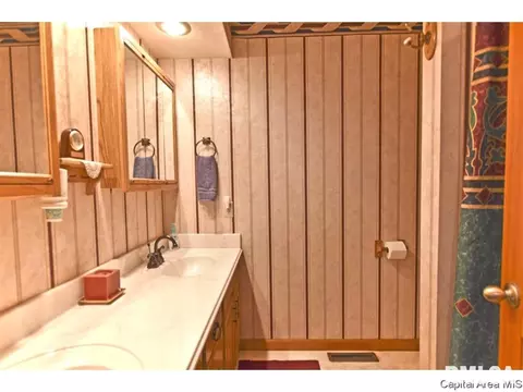 15 Hickory Ridge Ln, Springfield, IL 62707 photo 13