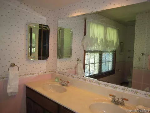 220 Maple Grove Ln, Springfield, IL 62712 photo 29