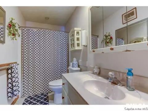 110 Country Pl, Springfield, IL 62703 photo 20