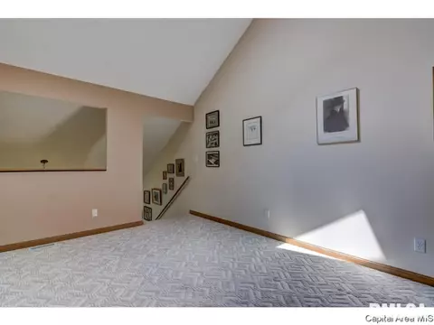 110 Country Pl, Springfield, IL 62703 photo 21
