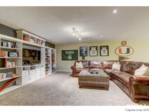 2604 Hazelnut Dr, Springfield, IL 62704 photo 29