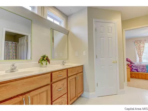 1805 Hidden Mill Dr, Springfield, IL 62711 photo 23