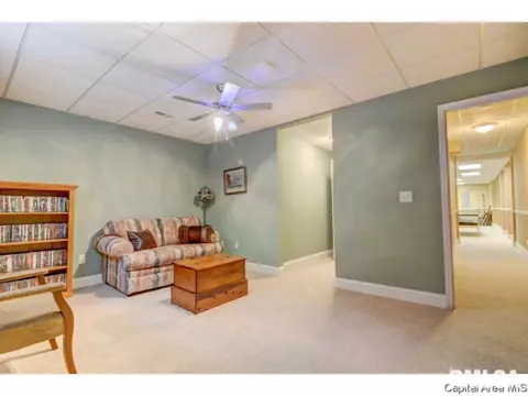 1805 Hidden Mill Dr, Springfield, IL 62711 photo 31