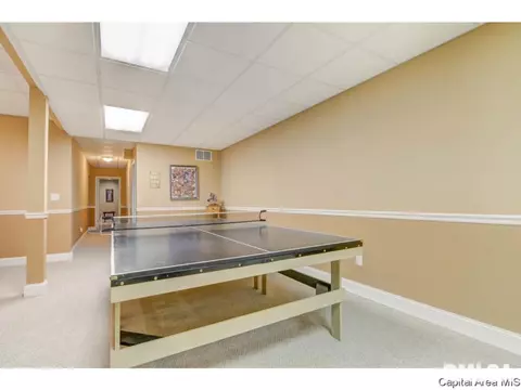1805 Hidden Mill Dr, Springfield, IL 62711 photo 29