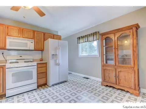 1401 Chalmers St, Springfield, IL 62703 photo 18