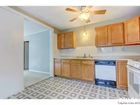 1401 Chalmers St, Springfield, IL 62703 photo 19