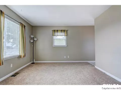 1401 Chalmers St, Springfield, IL 62703 photo 11