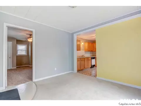 1401 Chalmers St, Springfield, IL 62703 photo 25