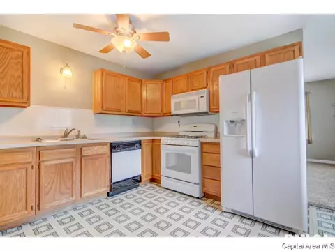 1401 Chalmers St, Springfield, IL 62703 photo 17