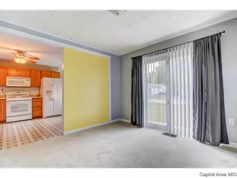 1401 Chalmers St, Springfield, IL 62703 photo 22